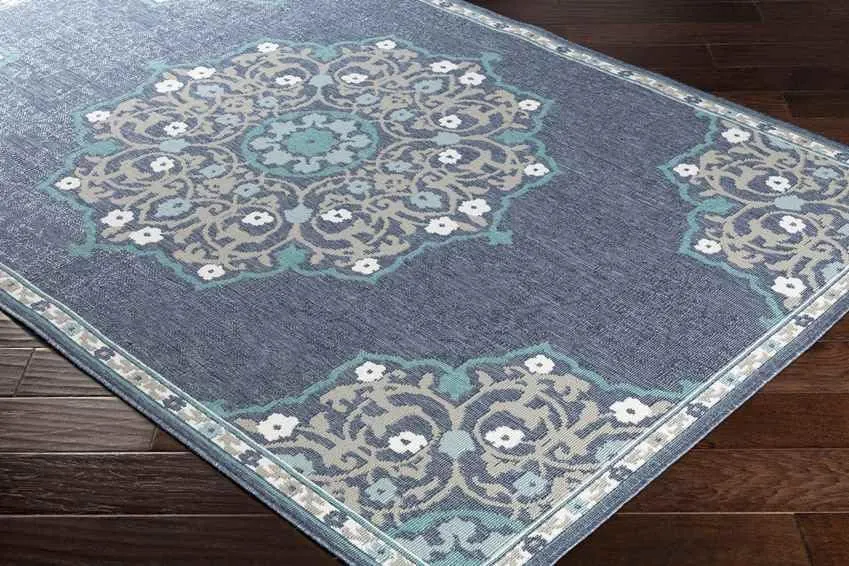 Balcarres 2x12 Outdoor Blue Area Rug Carpet for Living Room Bedroom or Kitchen (2'5" x 11'10")