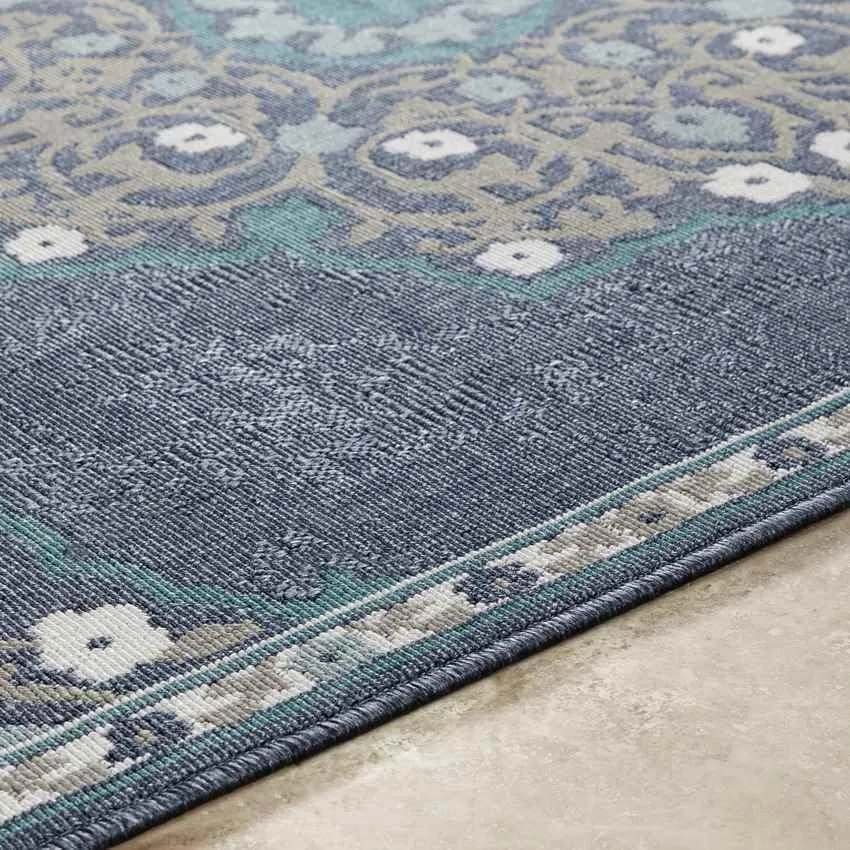 Balcarres 2x12 Outdoor Blue Area Rug Carpet for Living Room Bedroom or Kitchen (2'5" x 11'10")