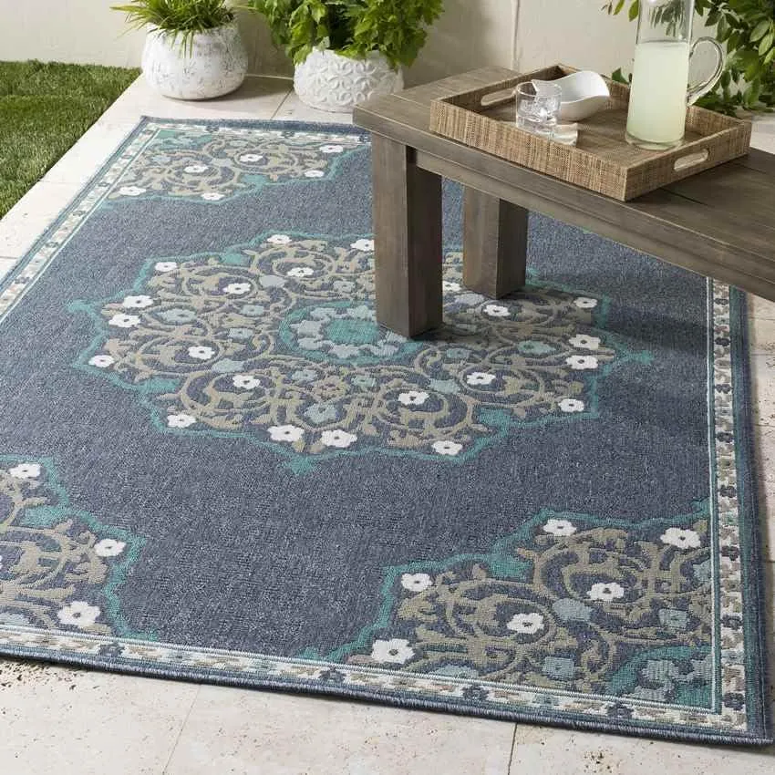 Balcarres 2x12 Outdoor Blue Area Rug Carpet for Living Room Bedroom or Kitchen (2'5" x 11'10")