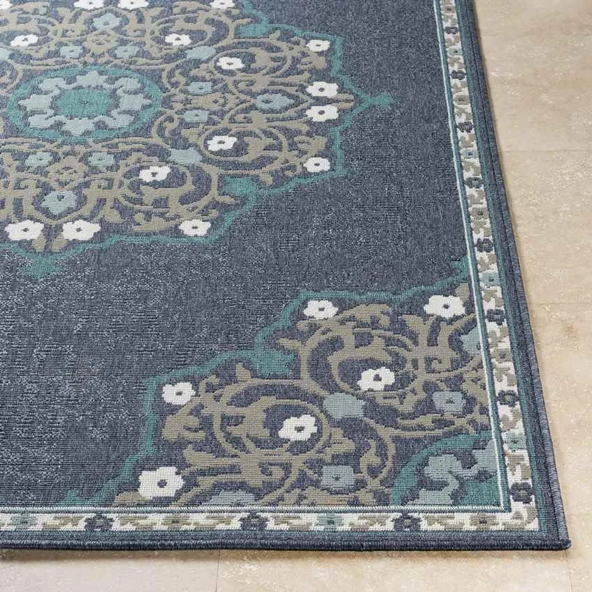 Balcarres 2x12 Outdoor Blue Area Rug Carpet for Living Room Bedroom or Kitchen (2'5" x 11'10")