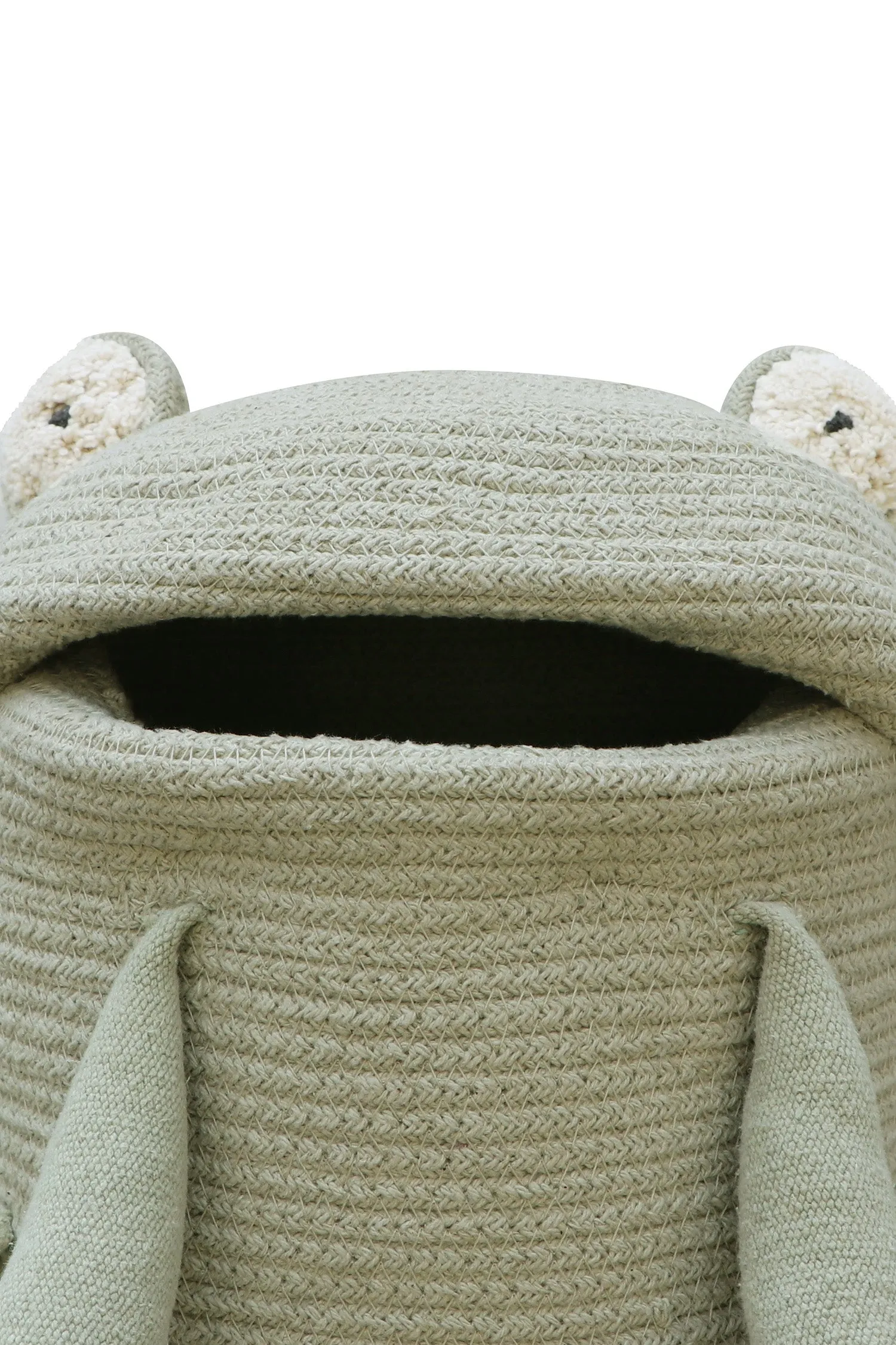 Fred the Frog Basket