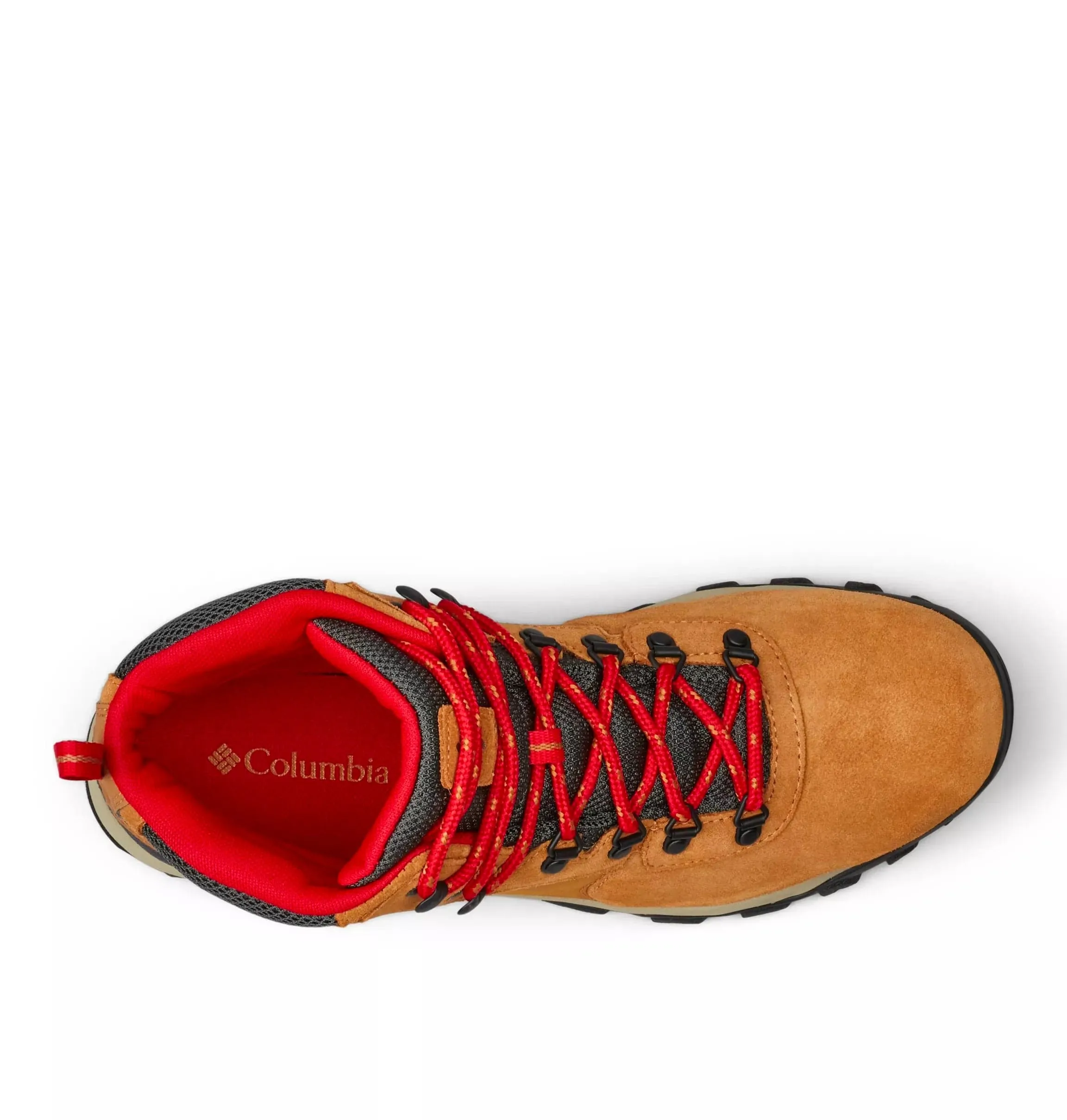 Newton Ridge™ Plus II Suede WP