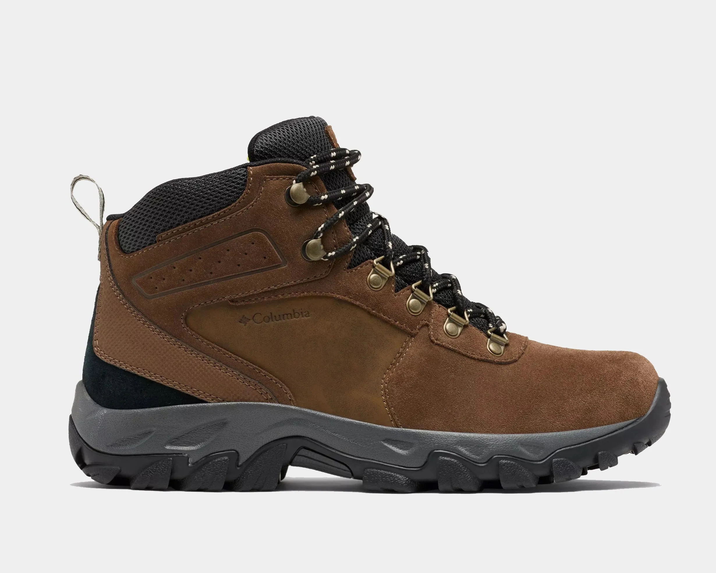 Newton Ridge™ Plus II Suede WP